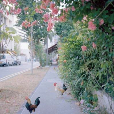 百姓彩票下载手机版