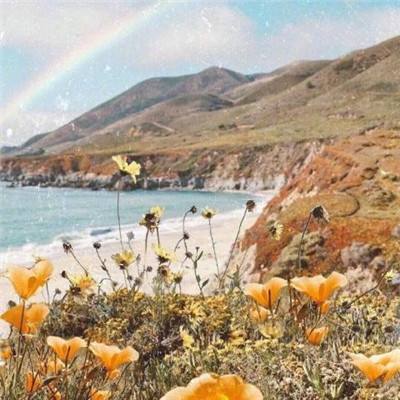 星空体育2024下载app下载