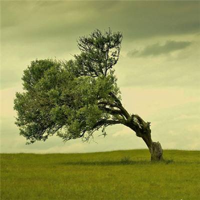 奥亚国际app截图