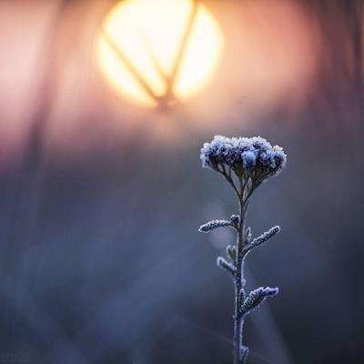 kaiyun·开云app下载