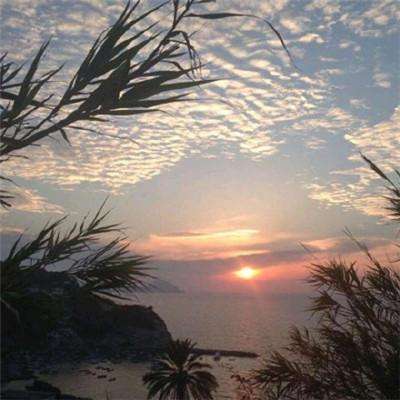 足球赌注软件app下载