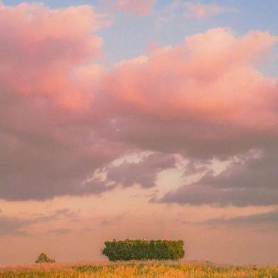 三亿体育下载手机版