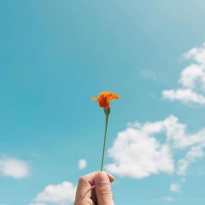 246天天好彩手机app下载