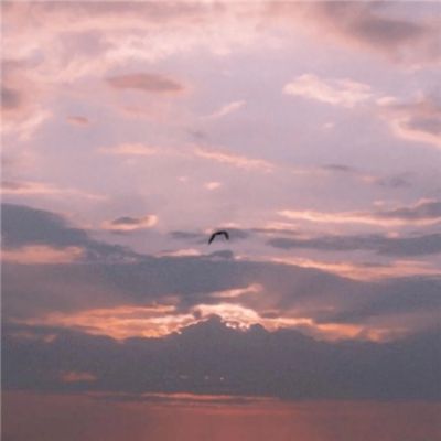 丰禾棋牌app下载