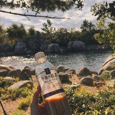 澳门新葡萄新京8883app下载