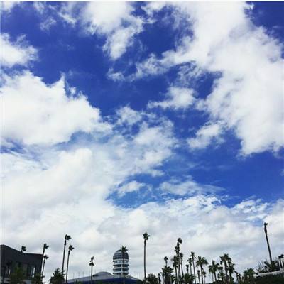 bob手机网页版登录入口