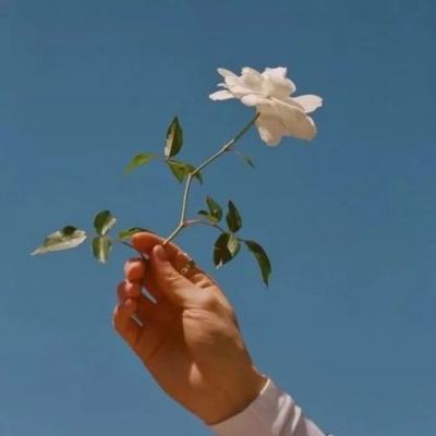 华会体育官方网站首页登录截图