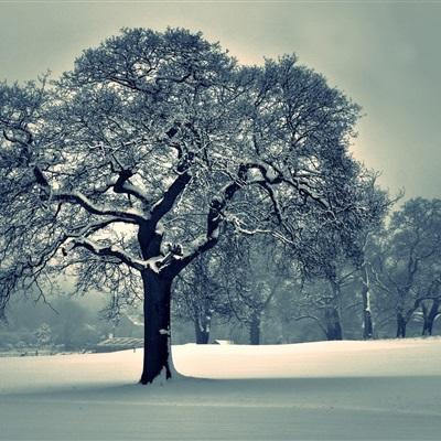 爱体育APP下载手机版